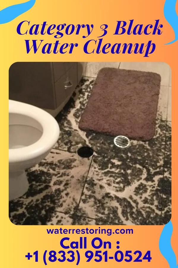 Category 3 Black Water Cleanup in Ridgeway, OH