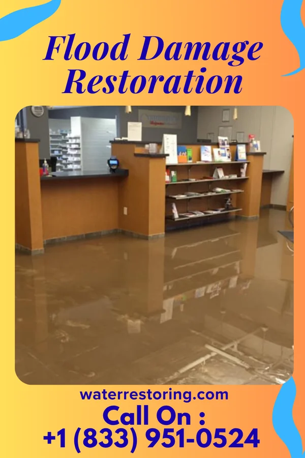 Flood Damage Restoration in Ridgeway, OH