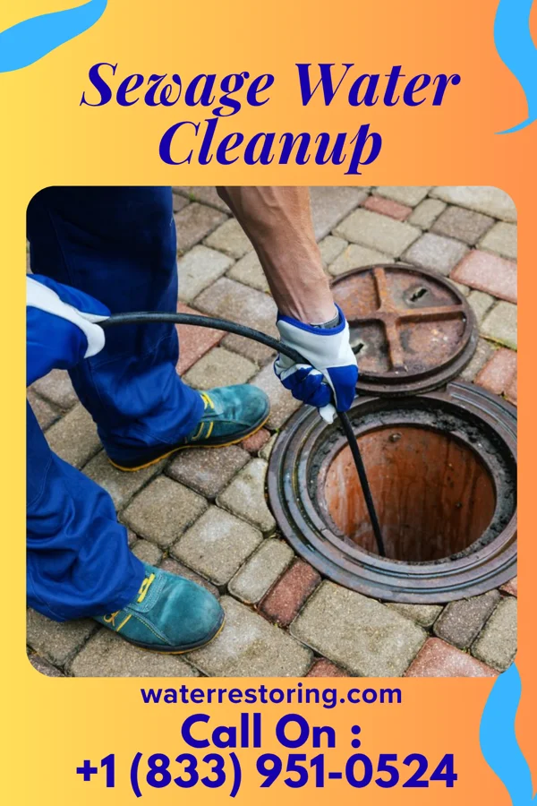 Sewage Water Cleanup in Ridgeway, OH